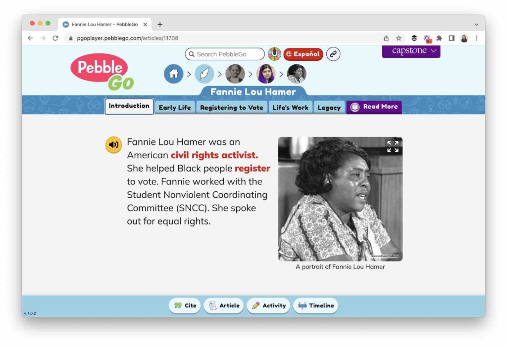 Social Studies Lessons - Fannie Lou Hamer